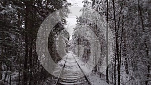 4k. Aerial view on winter Natural Tunnel of Love with Railway Road. Klevan, Ukraine. picturesque frozen forest with snow