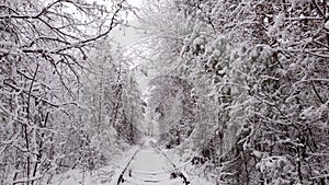 4k. Aerial view on winter Natural Tunnel of Love with Railway Road. Klevan, Ukraine. picturesque frozen forest with snow