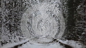 4k. Aerial view on winter Natural Tunnel of Love with Railway Road. Klevan, Ukraine. picturesque frozen forest with snow