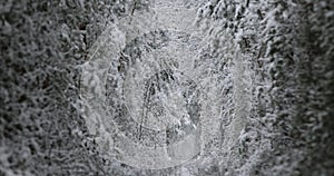 4k. Aerial view on winter Natural Tunnel of Love with Railway Road. Klevan, Ukraine. picturesque frozen forest with snow