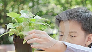 4k close up young Asian boy look and touch little plant in pot