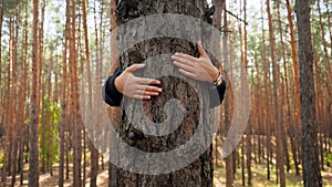 4k closeup video of young woman protecting nature standing behind tree in forest and hugging it