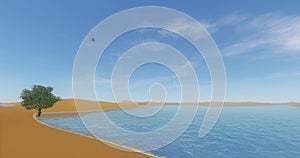 4k cloud flying over the desert & sand dunes,a lonely tree at the ocean beach.