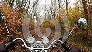 4K Compilation Video. Fantastic motorcycle ride on the road in color forest, wide point of view of rider.