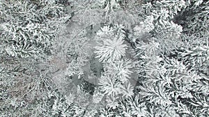 4K Compilation Video. Flight above frozen winter forest on the north, aerial view