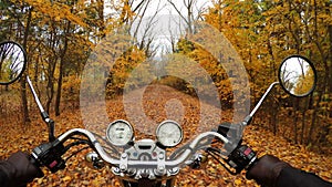 4K. Fantastic motorcycle ride on the road in orange autumn forest, wide point of view of rider. Classic chopper forever!