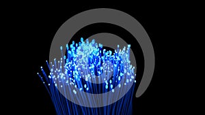 4K Fiber Optic Cables Grow Across The Frame.