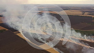 4k Fire In A Cornfield After The Harvest View from the drone