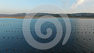 4K. Flight over fishing place with floats at sunset in the sea. Aerial panoramic view. Secovlje Soline, Slovenia