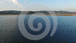 4K. Flight over fishing place with floats at sunset in the sea. Birds are sitting on the floats. Aerial panoramic view.