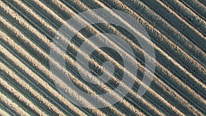 4K. Flight and takeoff above freshly cultivated fields in spring, aerial top view with rotation