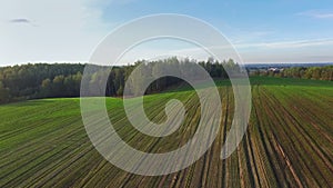 4K. Flight and takeoff above green hills and fields at sunset, aerial view.