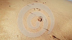 4k footage of camera flying above the footprints on the wet sand at sea beach