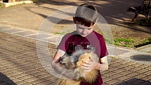 4k footage. A little child plays with a puppy Pomeranian Spitz. Love him, hugging and stroking.
