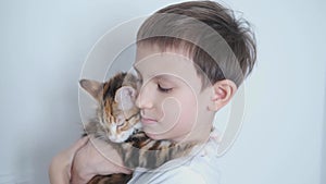 4k. Happy boy holding, kissing small straight kurilian bobtail kitten with love