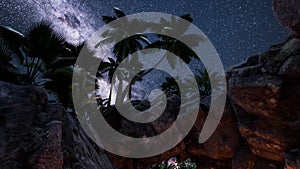 4k hyperlapse star trails over sandstone canyon walls and palms 6