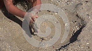 4K Kid Hands on Beach, Child Playing in Sand on Seashore, Girl on Coastline