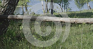 4K - The log is horizontally placed on a stump near the lake and trees