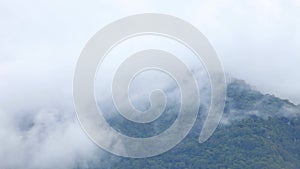 4k misty morning in the deep forest mountain which fog flowing through the woodland hill timelapse