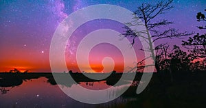 4K Pine silhouette at Sunset and night transition background. Moon Rising Above Water Surface. Landscape With Lake Swamp