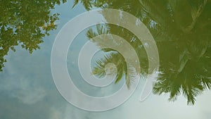 4K. shadow of coconut palm tree leaf reflec on clear water surface. summer tropical background