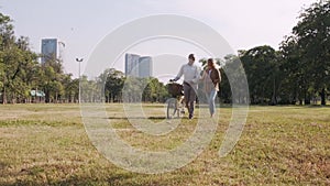 4K slow motion Caucasian elderly couples walking with a bicycle in the natural autumn sunlight garden.