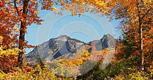 4K Slow Motion Falling Autumn leaves looking at a majestic mountain through an opening in the trees. Fall landscape with