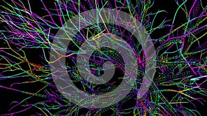 4K Stylish abstract animation. A multicolored network, similar to nerves or tree branches