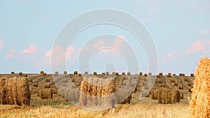 4K Summer Hay Rolls Straw Field Landscape. Haystack, Hay Rolls. time lapse, time-lapse, timelapse, weather, white.