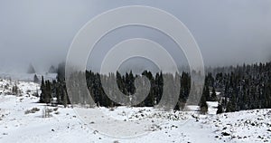 4k tilt timelapse of Vitosha mountain in snow and mist