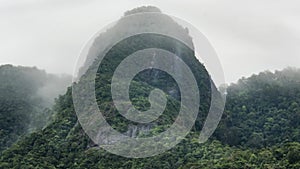 4K time-lapse medium shot of Mountain rain forest with mist