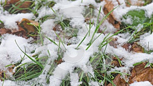 4K Time-Lapse of melting snow