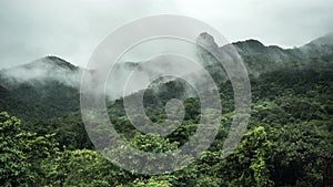4K time-lapse Mountain rain forest with mist