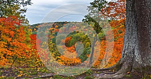 4K Timelapse of the autumn landscape. Colorful foliage in the fall park.