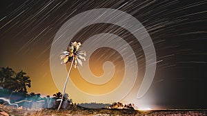 4k Timelapse. Night Starry Sky Over Tropical Beach With Lonely Palm Tree. Unusual Amazing Blurred Stars Effect Sky. Soft