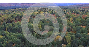 4K UltraHD Algonquin forest in autumn