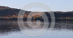 4K UltraHD Reflection of autumn foliage at Algonquin