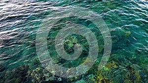 4k video of beautiful turquoise sea waves and live corals growing on the bottom