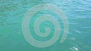 4k video, close-up of blue waves on the calm surface of ocean water. The texture of the sea surface is blue. The concept