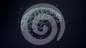 4k Video Digital Human Brain, Prores 4444, Endless Loop