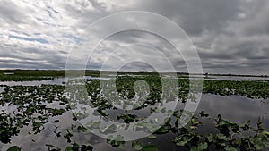 4k video of Lake Tohopekaliga near Kissimmee in Florida