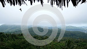 4K. view of green mountains with white mist after rain. view from the cottage , thatch from roof of the hut is the front