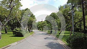 4K Walkway among the public park surrounding with trees on summer