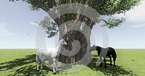 4k white horse & black horse under big tree,butterfly & bird flying,Dandelion.
