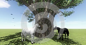 4k white horse & black horse under big tree,butterfly & bird flying,foal pet.