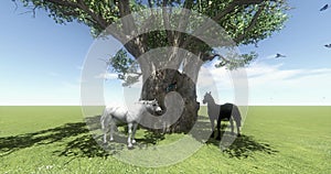 4k white horse & black horse under big tree,butterfly & bird flying,foal pet.