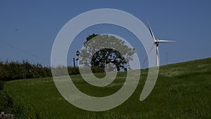 4K wind turbine on hill with tree UK
