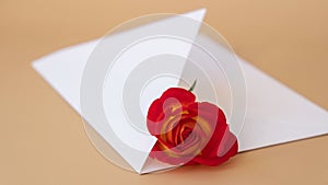 4k zoom in out Beautiful red roses flowers in postal envelope on neutral beige background, copy space for text, spring