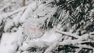 4k zoom in out Transparent trendy glass Christmas ball on snowy branch firs in winter forest. Winter holiday background