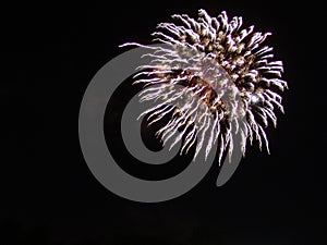 4th of July Fireworks Celebration in USA